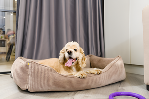 Cozy Pet Beds for Ultimate Comfort