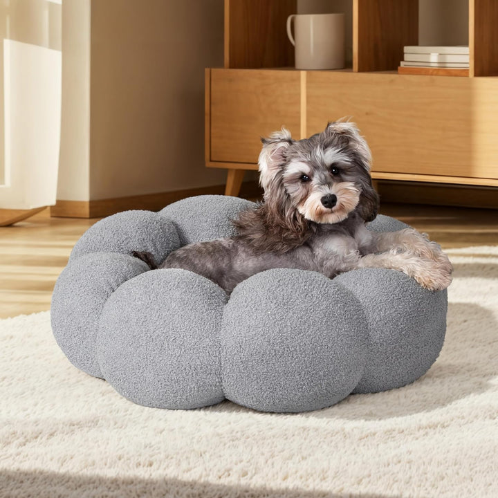 The Ultimate Comfort for Your Furry Friends