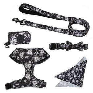Enhance Your Walking Experience with Our Pet Leash Vest