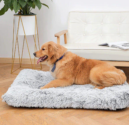 Plush Square Pet Bed Memory Foam Dog Sofa