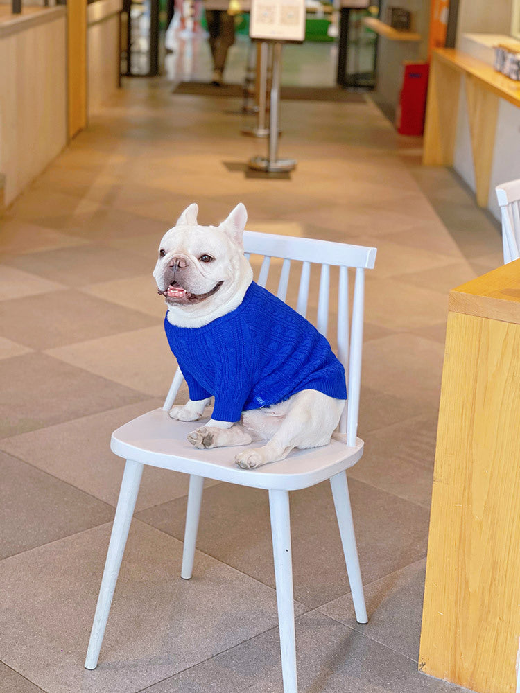 Bichon Corgi Warm And Thick Winter Clothes