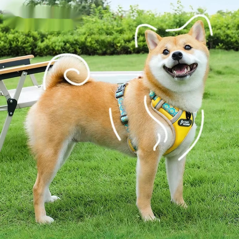 Vest-Style Pet Harness with Leash Small & Medium Dogs