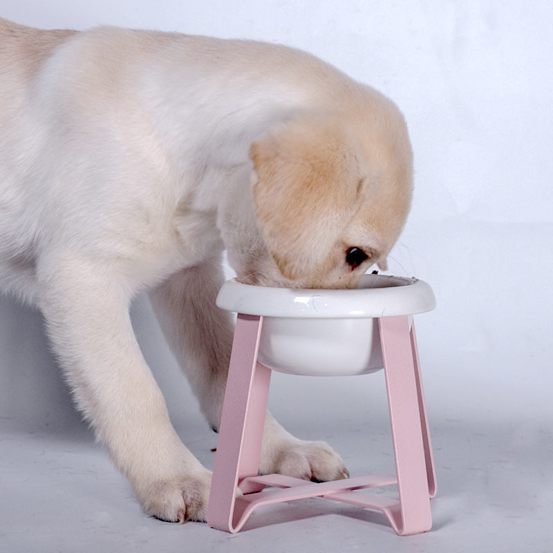 2-in-1 Anti-Slip Cat & Dog Feeding Bowl with Stand