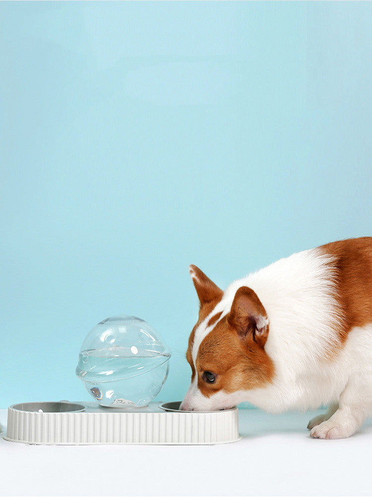 Automatic Plastic Water & Food Feeder for Pets