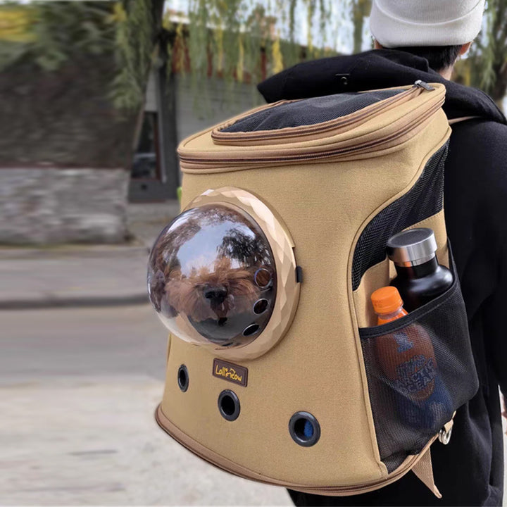 Backpack-Style Carrier for Medium Dogs & Cats