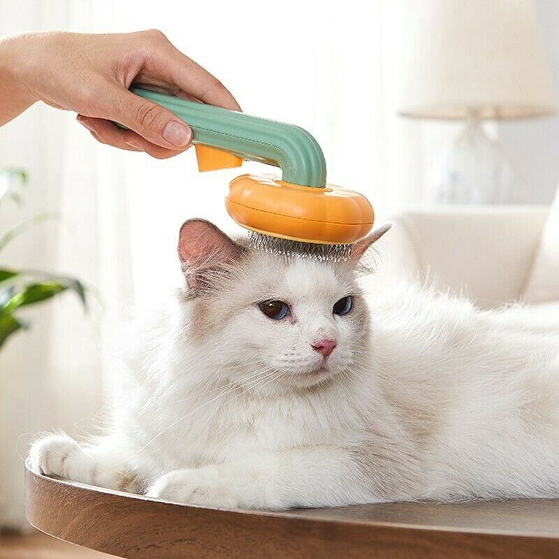 Self-Cleaning Pet Slicker Brush – Dogs & Cats