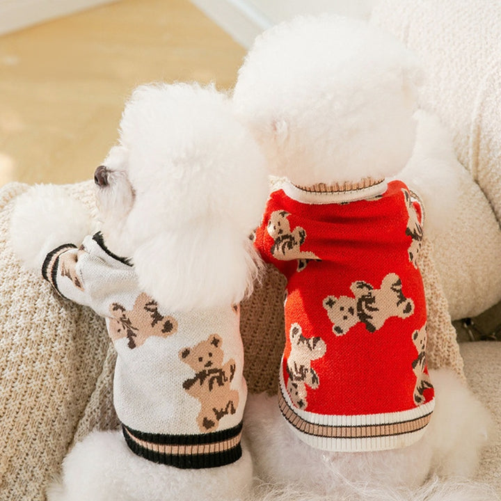 Cute Bear Pattern Dog & Cat Sweater Warm & Lightweight