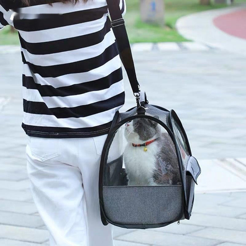 Transparent Foldable Cat Carrier Handbag
