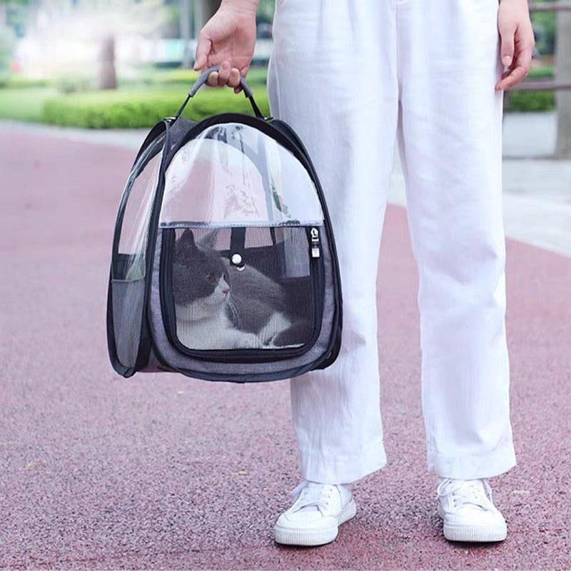 Transparent Foldable Cat Carrier Handbag