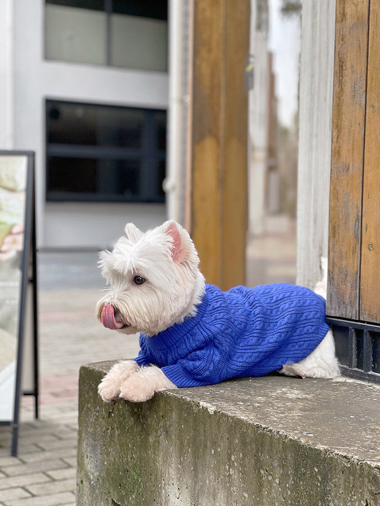 Bichon Corgi Warm And Thick Winter Clothes