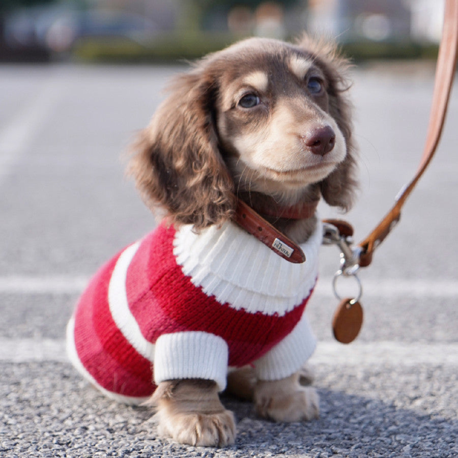 Small Dog & Cat Thick Warm Sweater