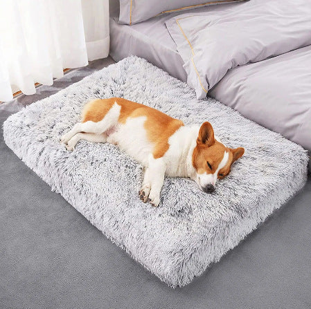 Plush Square Pet Bed Memory Foam Dog Sofa