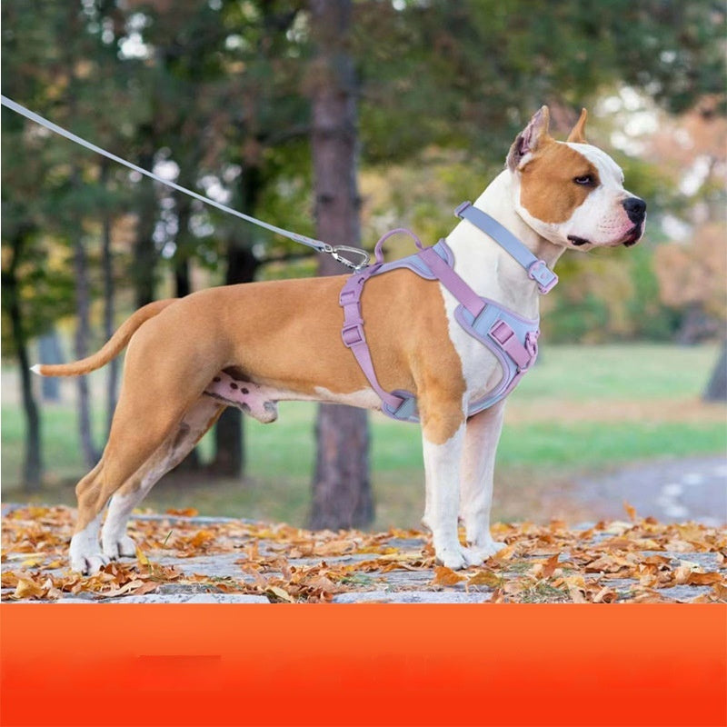 Dog Chest Strap Harness with Hand-Held Leash