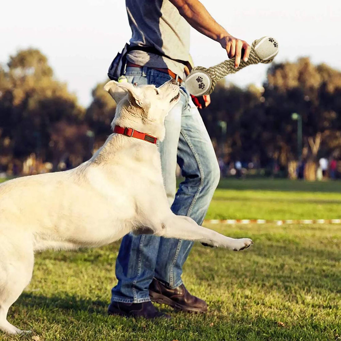 Interactive Cotton Rope Dog Toy Chew & Tug for Dogs