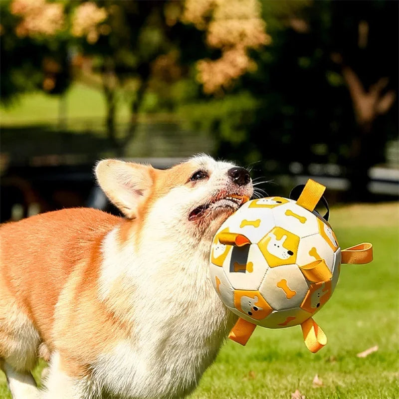 Interactive Dog Soccer Ball Outdoor Chew & Training Toy