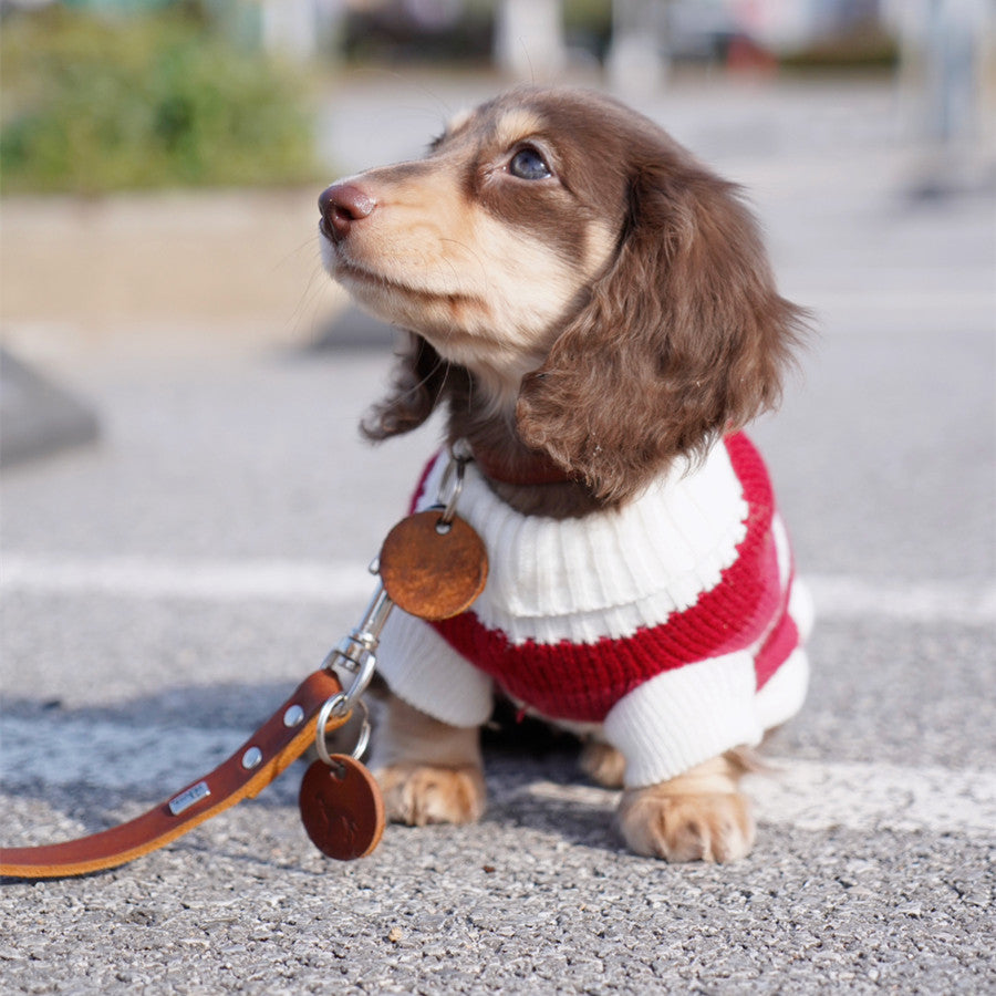 Small Dog & Cat Thick Warm Sweater