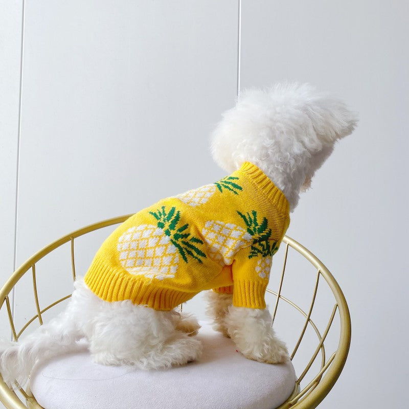 Cute Pineapple Print Sweater for Pets Autumn & Winter