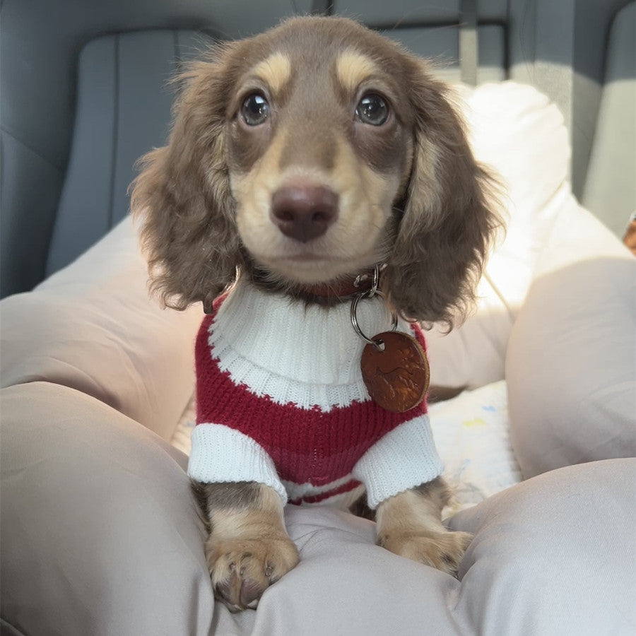 Small Dog & Cat Thick Warm Sweater