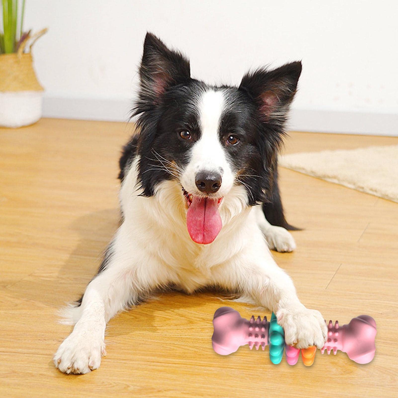 Indestructible TPR Dog Chew Bone for Teeth Cleaning