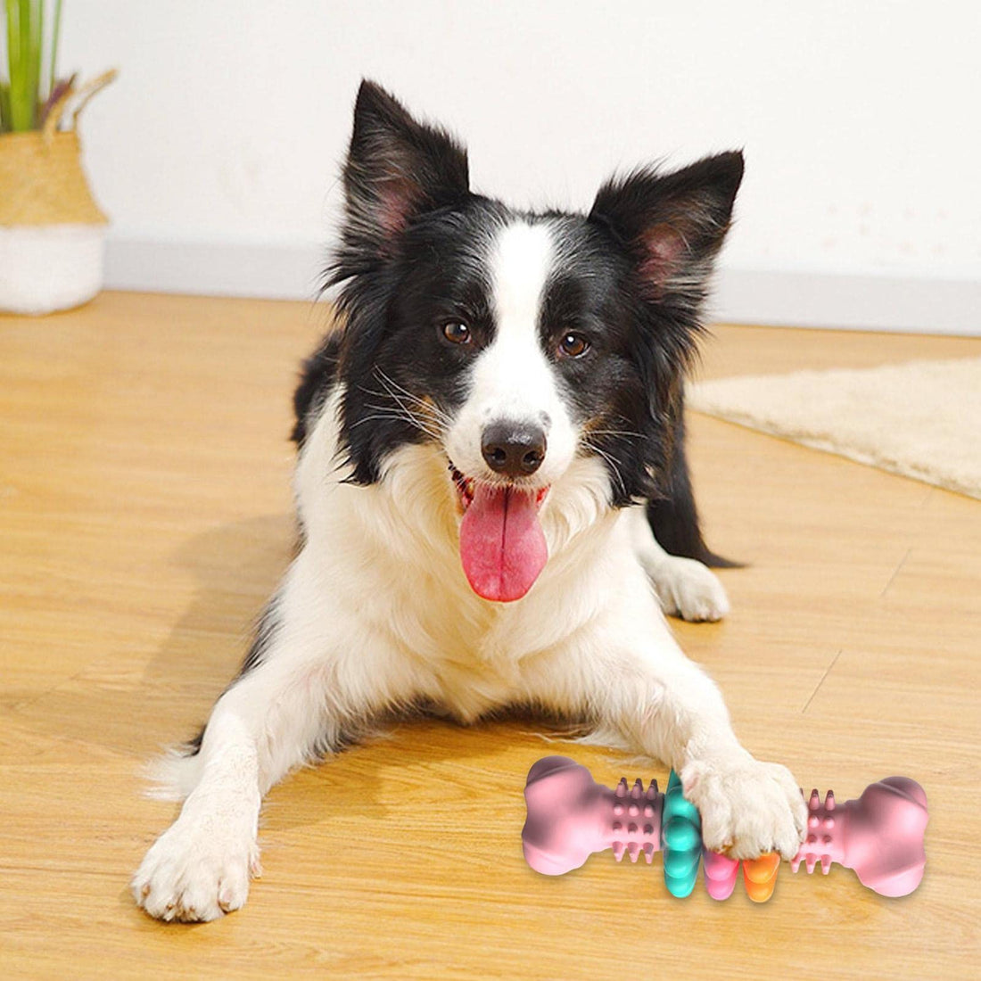Indestructible TPR Dog Chew Bone for Teeth Cleaning