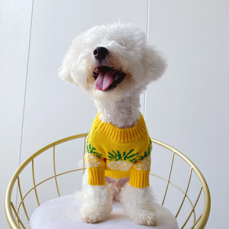 Cute Pineapple Print Sweater for Pets Autumn & Winter