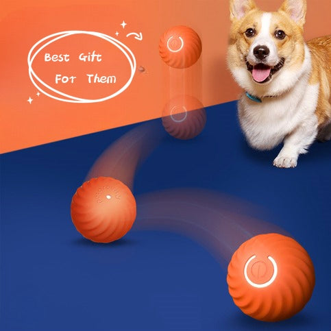 Durable Rubber Dog Chew Ball Bite-Resistant Toy