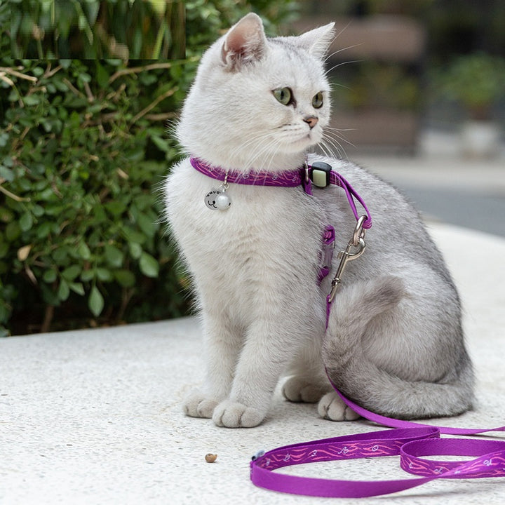 Chest Strap Pet Harness with Bell Small Dogs & Cats