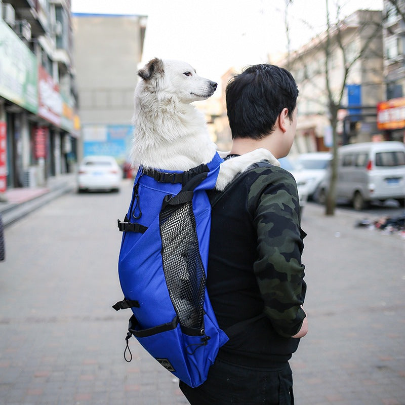 Double Shoulder Pet Carrier Backpack for Travel