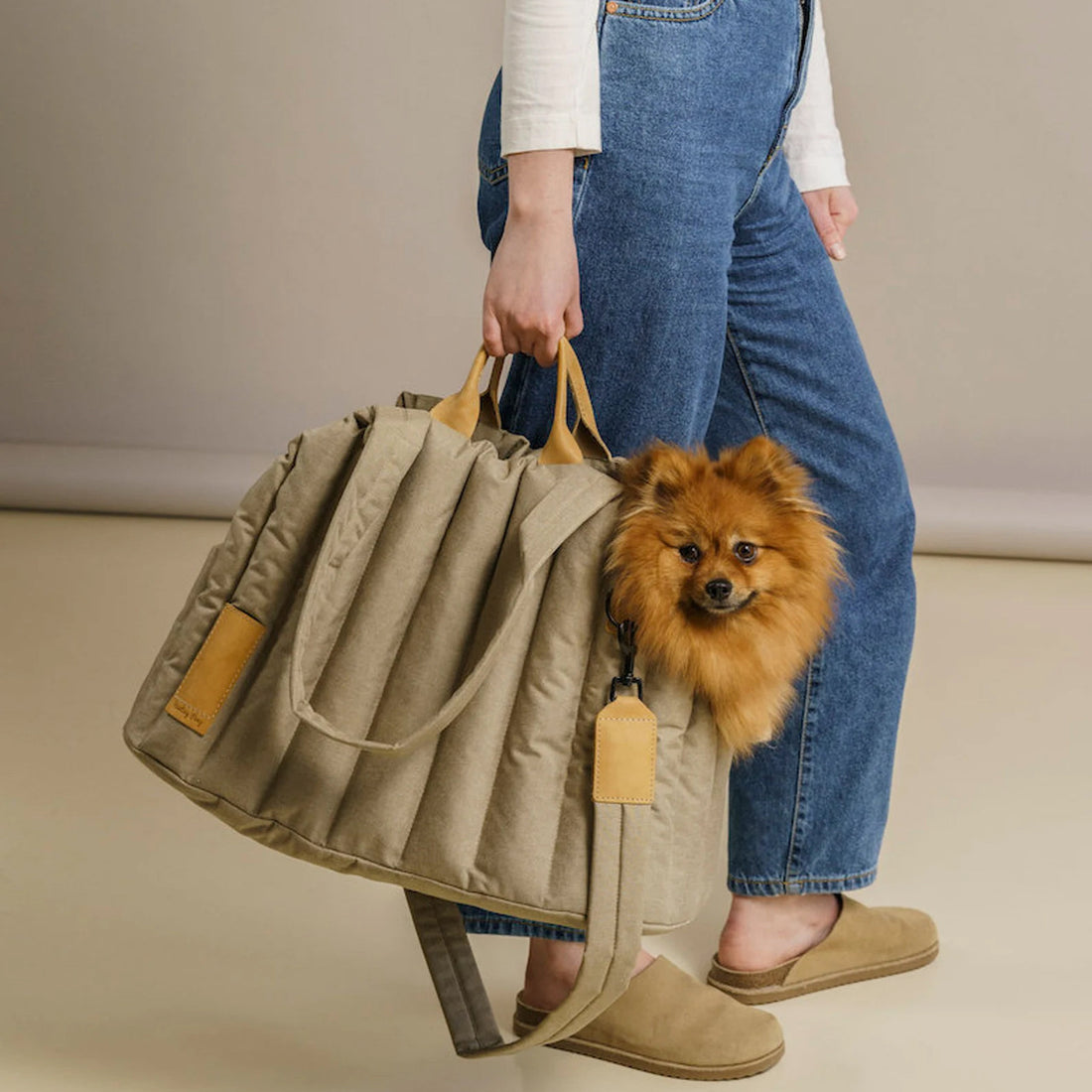 Lightweight Waterproof Pet Carrier Bag Dog & Cat
