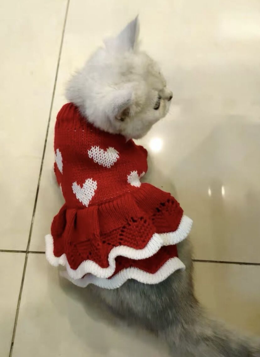 Princess Dog Christmas Sweater Festive & Warm