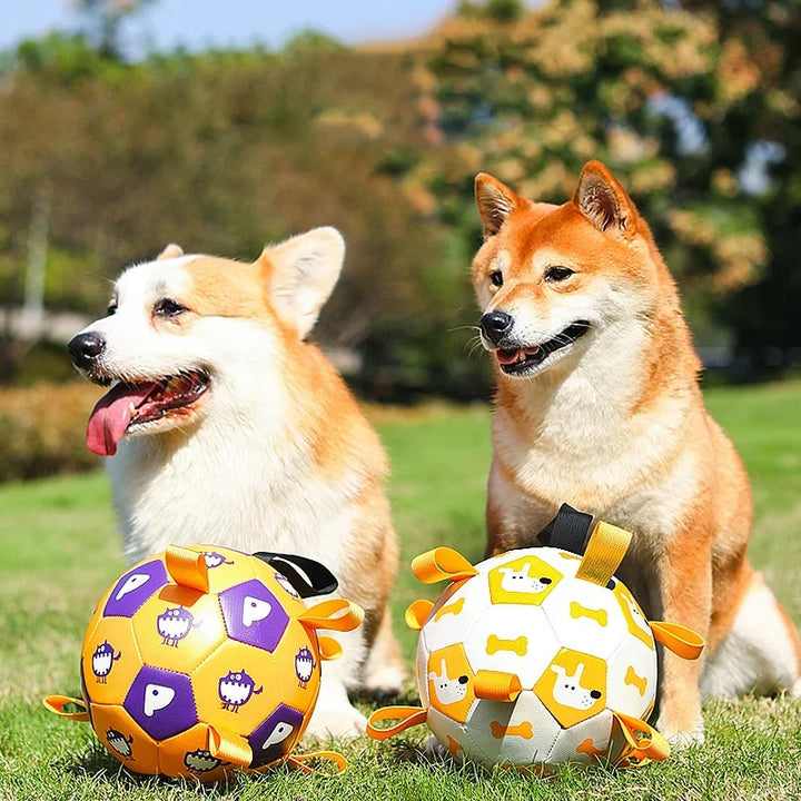 Interactive Dog Soccer Ball Outdoor Chew & Training Toy