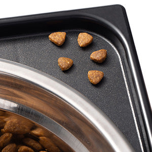 Elevated Dog Feeding Bowl Neck Protection, Anti-Tip