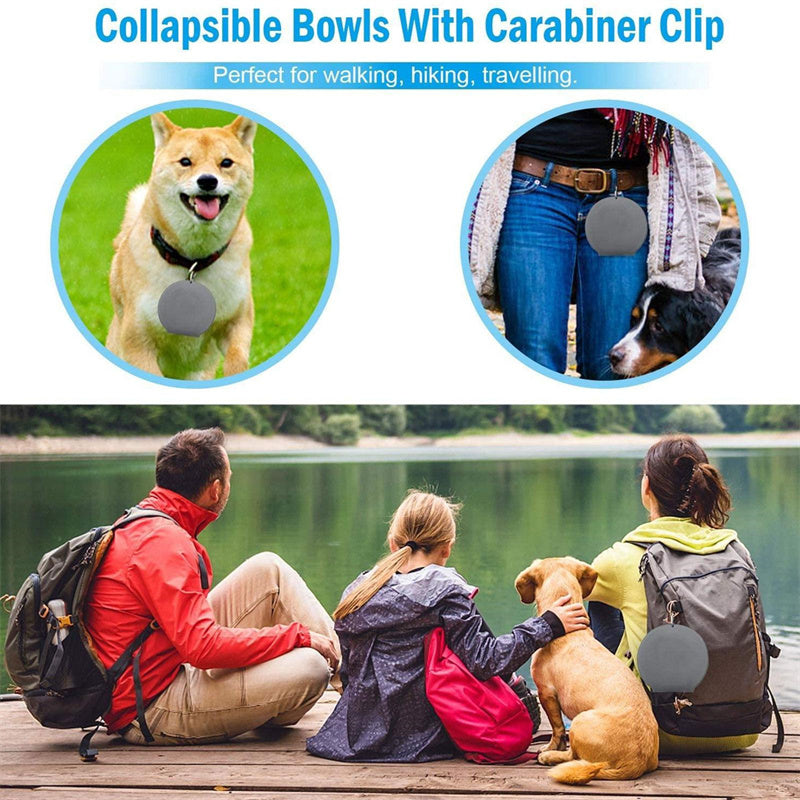 Foldable Double Rubber Pet Feeding Bowl for Dogs and Cats