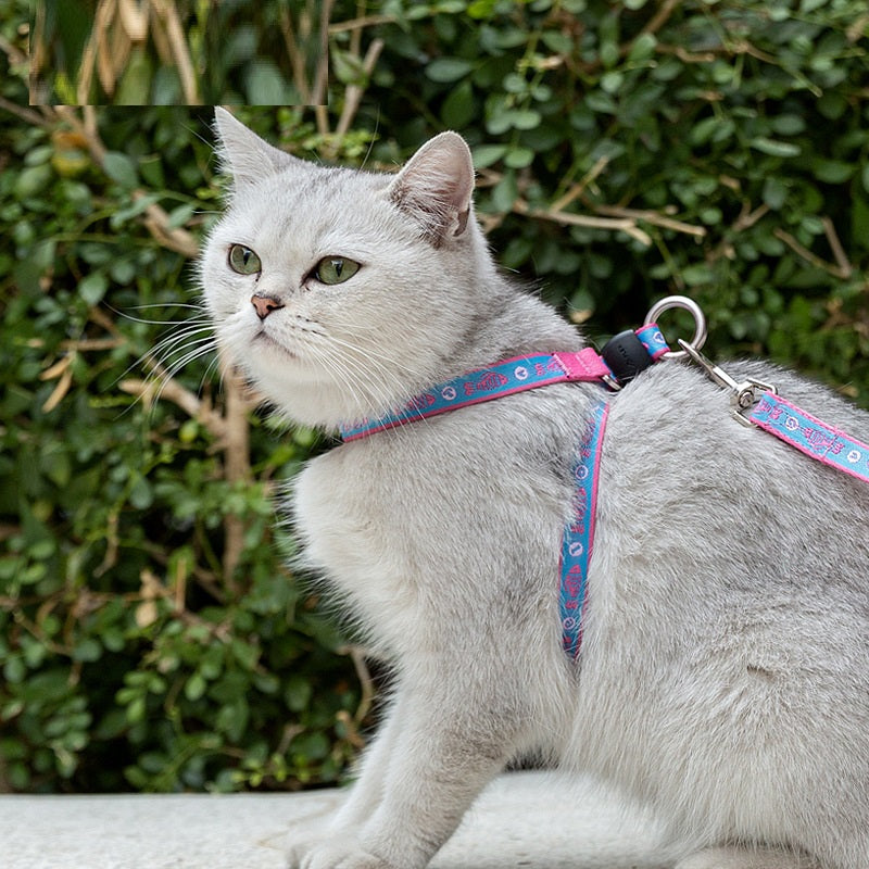 Chest Strap Pet Harness with Bell Small Dogs & Cats