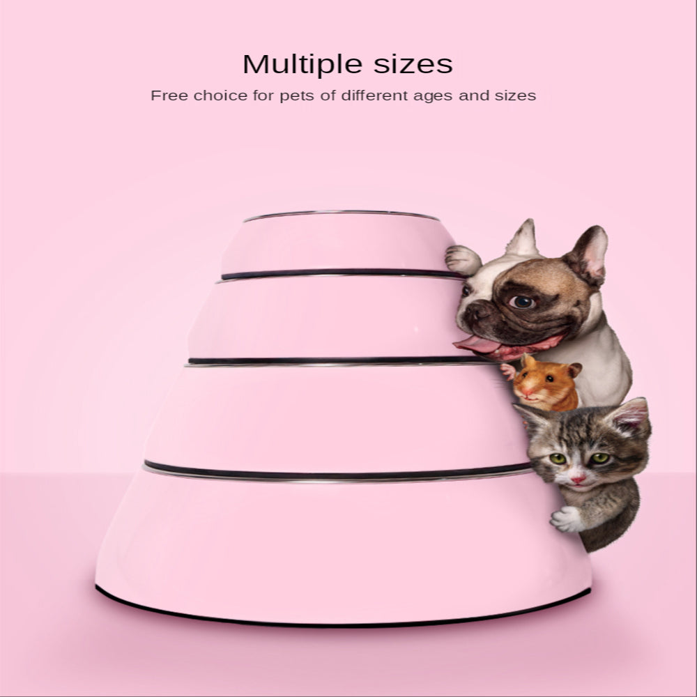 Large Stainless Steel Bowls for Cats & Dogs