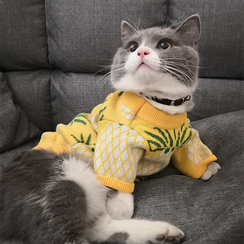 Cute Pineapple Print Sweater for Pets Autumn & Winter