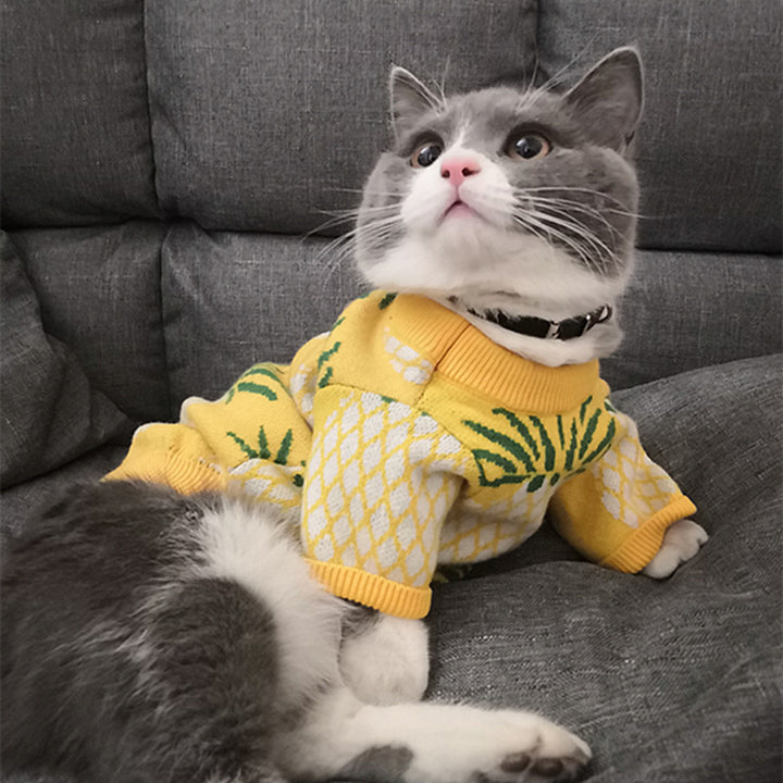 Cute Pineapple Print Sweater for Pets Autumn & Winter