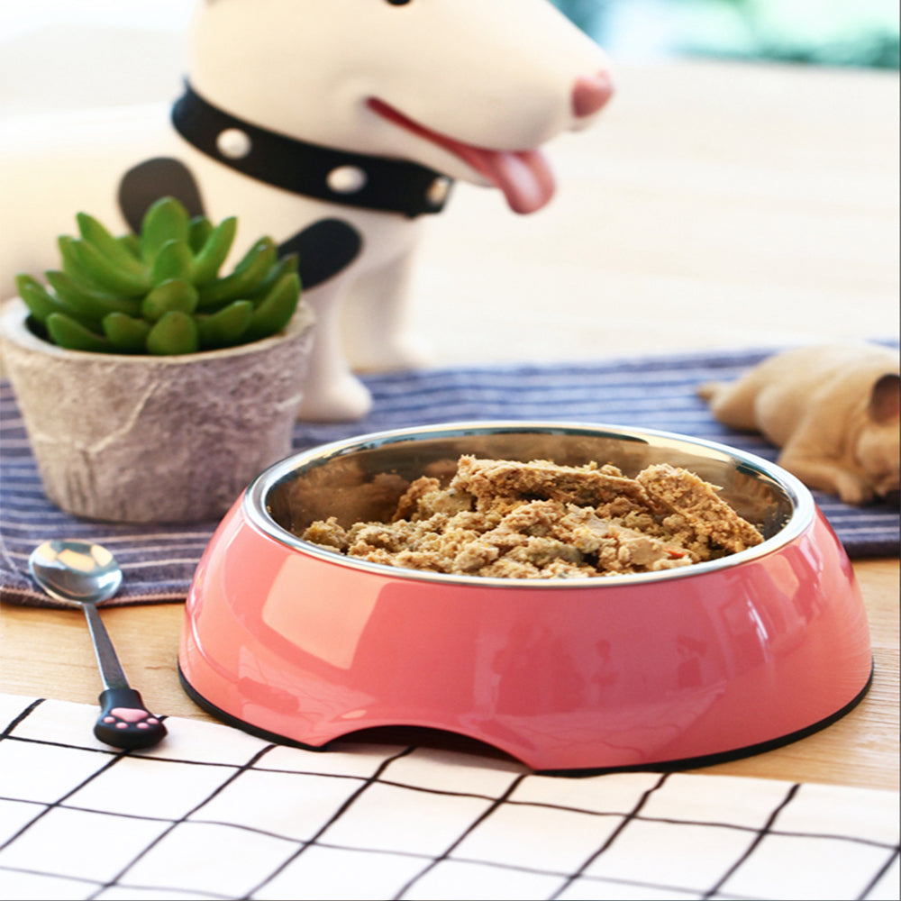 Large Stainless Steel Bowls for Cats & Dogs