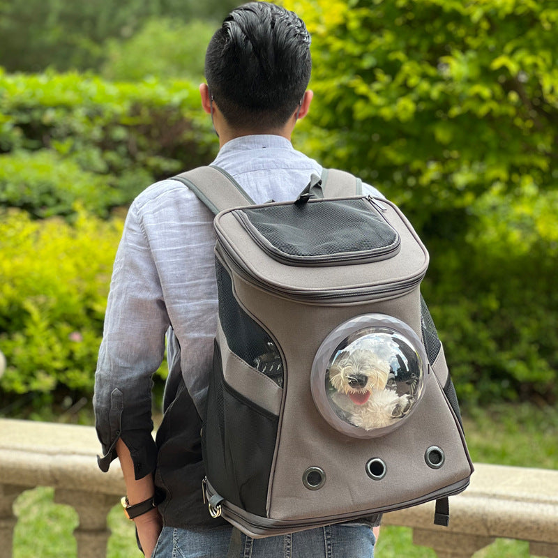 Backpack-Style Carrier for Medium Dogs & Cats