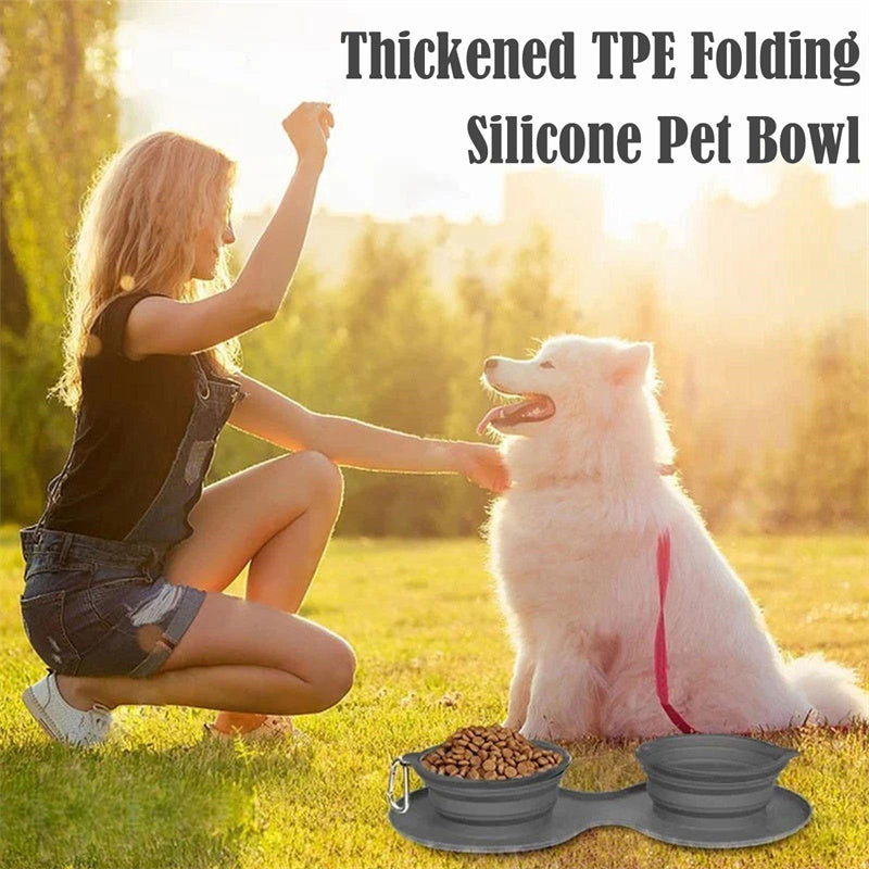 Foldable Double Rubber Pet Feeding Bowl for Dogs and Cats
