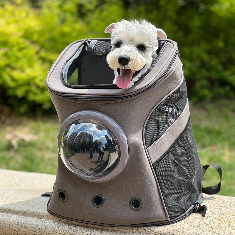 Backpack-Style Carrier for Medium Dogs & Cats