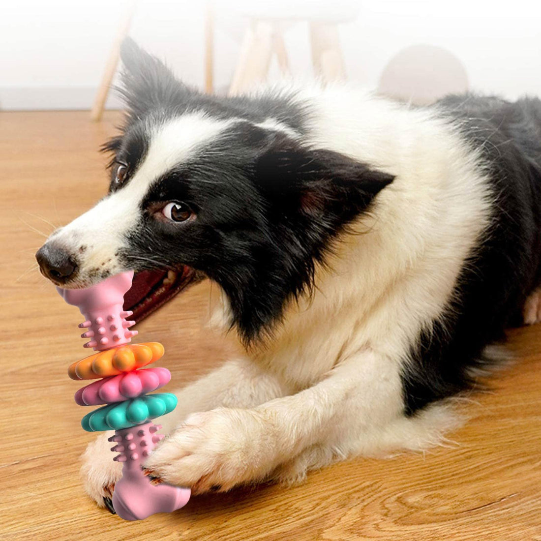 Indestructible TPR Dog Chew Bone for Teeth Cleaning