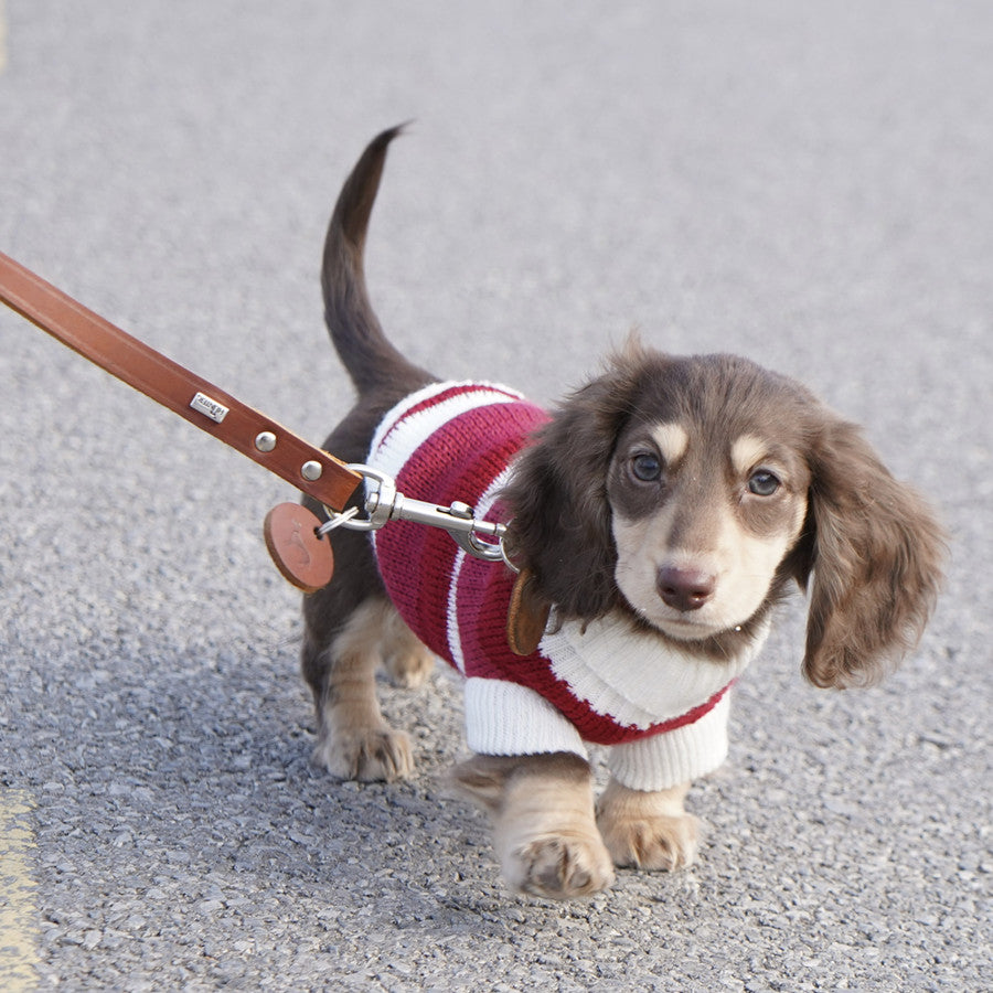 Small Dog & Cat Thick Warm Sweater