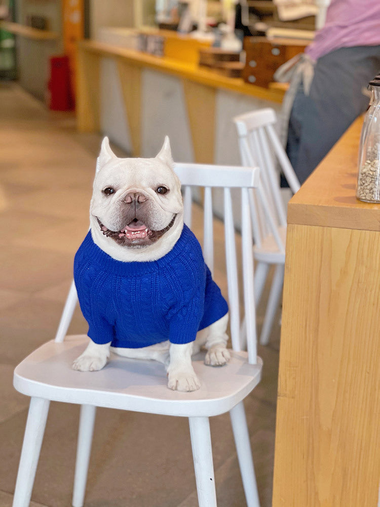 Bichon Corgi Warm And Thick Winter Clothes