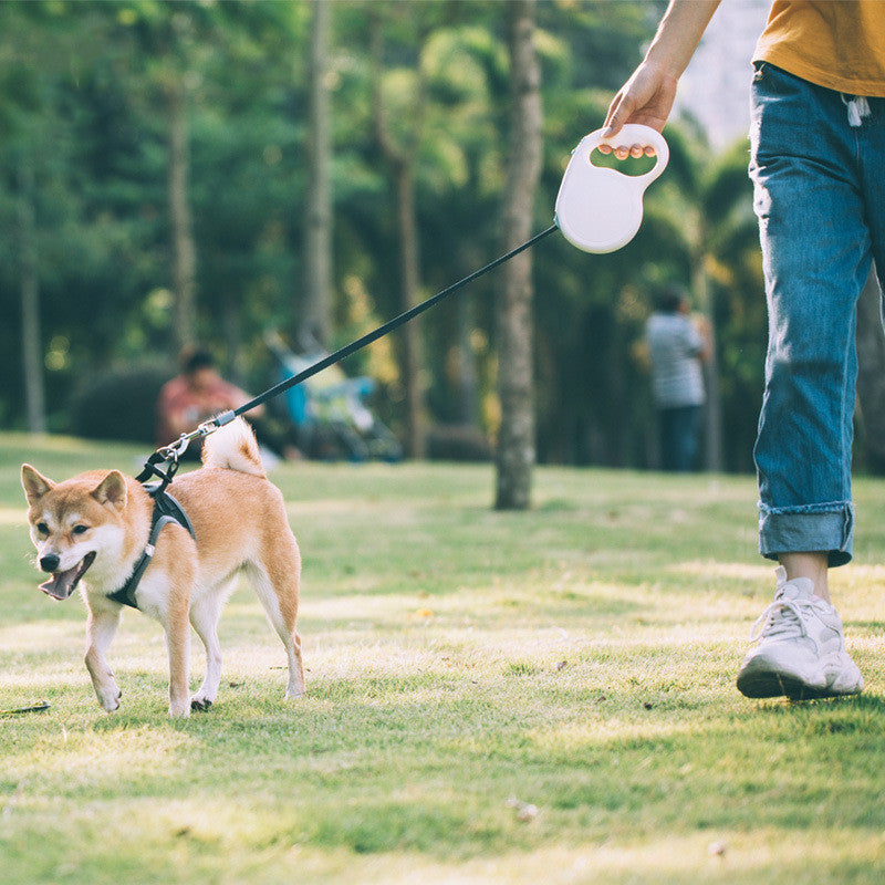 Retractable Pet Leash Small to Large Dogs