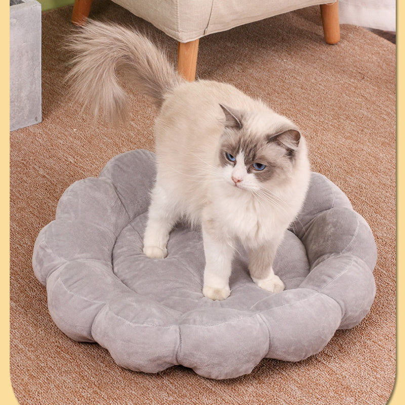 50x50cm Double-Sided Plush Pet Bed Soft & Cozy