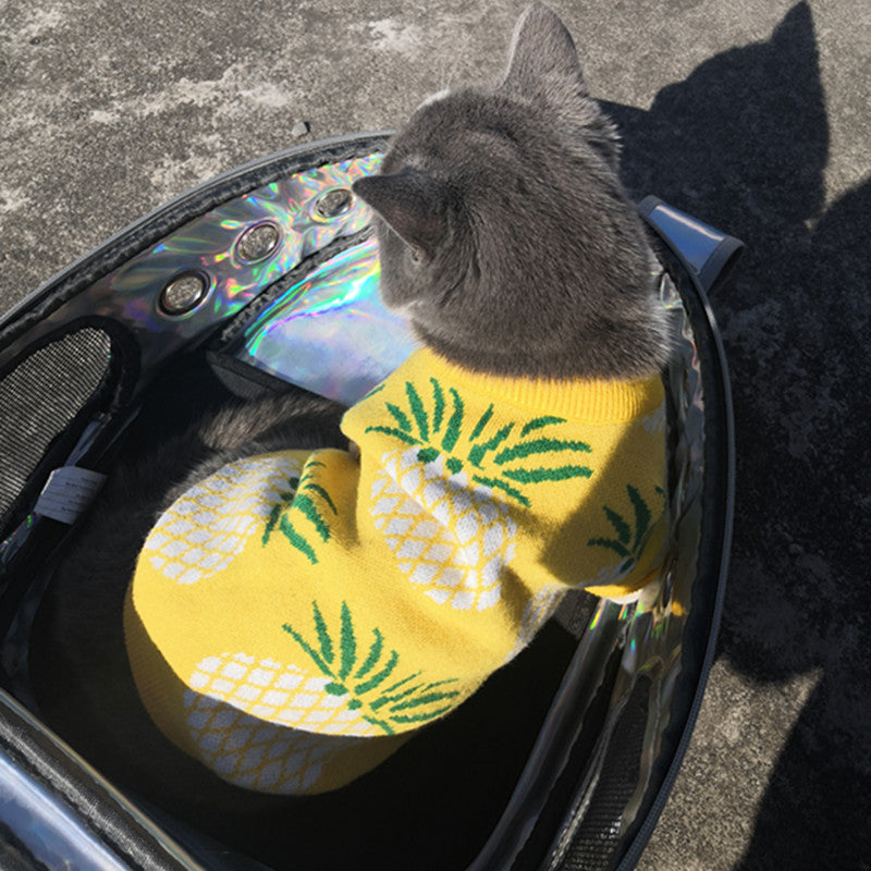 Cute Pineapple Print Sweater for Pets Autumn & Winter