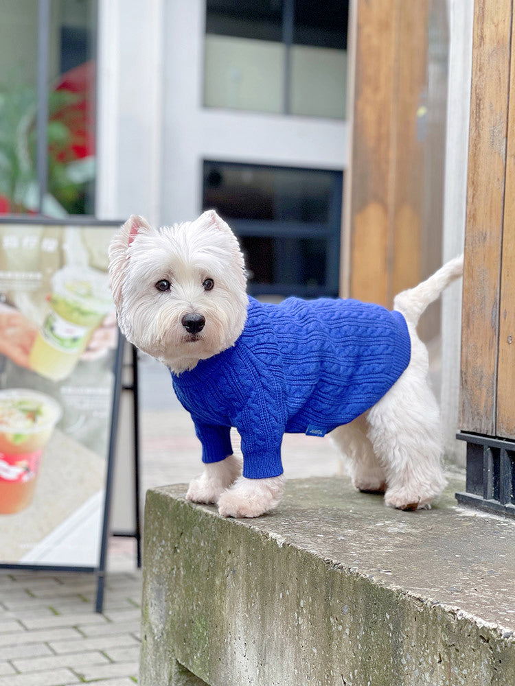 Bichon Corgi Warm And Thick Winter Clothes