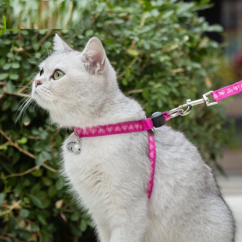 Chest Strap Pet Harness with Bell Small Dogs & Cats